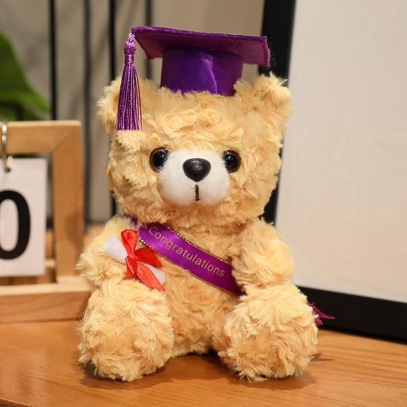 Gift Graduation Drteddy Bear Plush Toy Stuffed Animal Doll Decoration Kids
