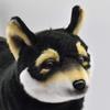 BH7242 HANSA Black Shiba 50