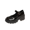 2025 New Women's Round Toe Chunky Platform Mid Heel Pumps Low Cut Buckle Strap Casual Shoes for Plus Size High Heels