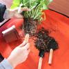 New Outdoor Accessory Foldable Reusable Planting Mat Potting Pad Waterproof Mats Garden Supply