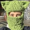 Girls Cat Ear Hat Y2K Knitted Hat Cute Cat Ear Gifts Warm Hat Adult Children Knitted Chenille Yarn Halloween Photo Props