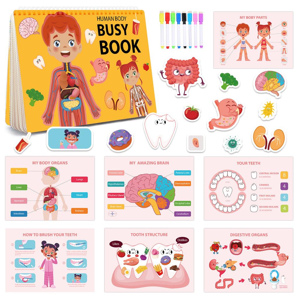 Children's Early Education Cognitive Tear-and-stick-paste Books, Flip Books, and Educational Quiet Books