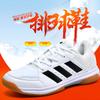 New Non-slip Volleyball Shoes Mesh Breathable Shock Absorption Men's and Women's Professional Training Table Tennis Tennis Shoes Badminton Shoes