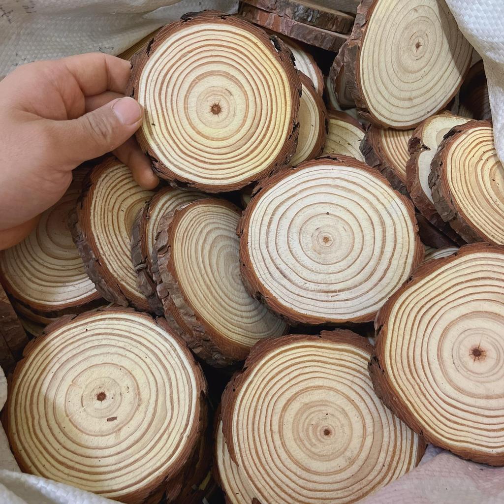 DIY Hand-Painted Wooden Slices for Crafts and Kindergarten Decor – Small Natural Wood Pieces with Growth Rings