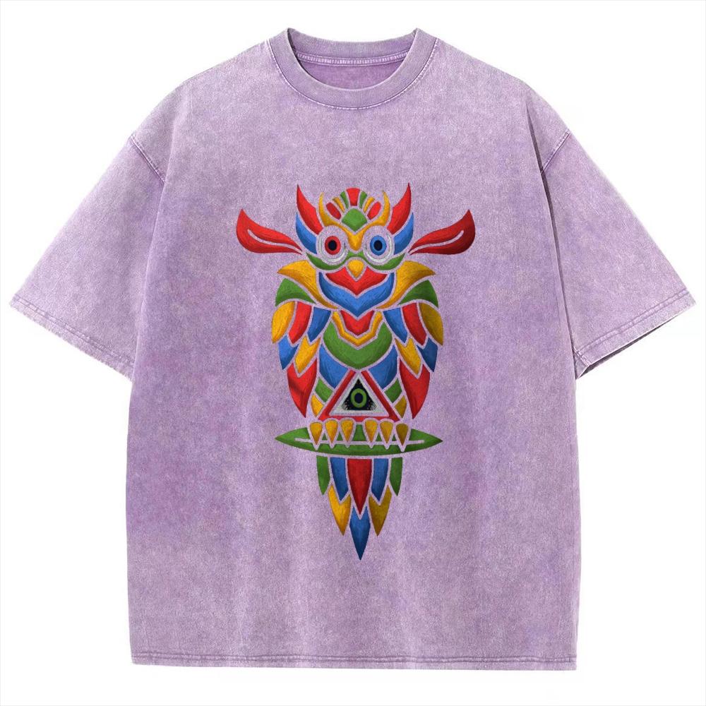 Cartoon Color Owl Print Ladies T-Shirt Loose Wash Oversized Crew Neck Short Sleeve Student Casual Simple Tee