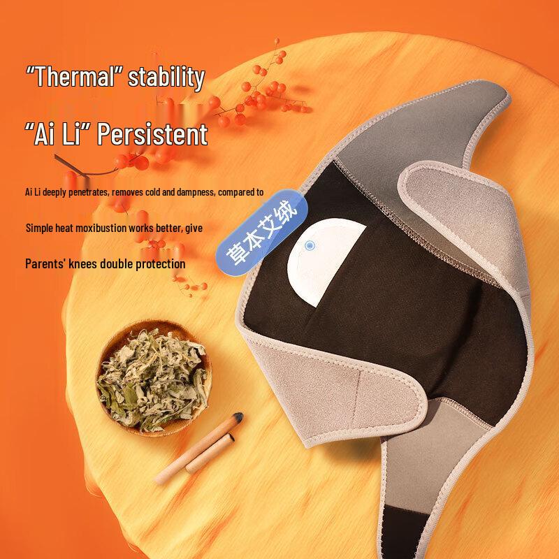 PANGAO Knee5 Knee Massager CN plug (adapter included)