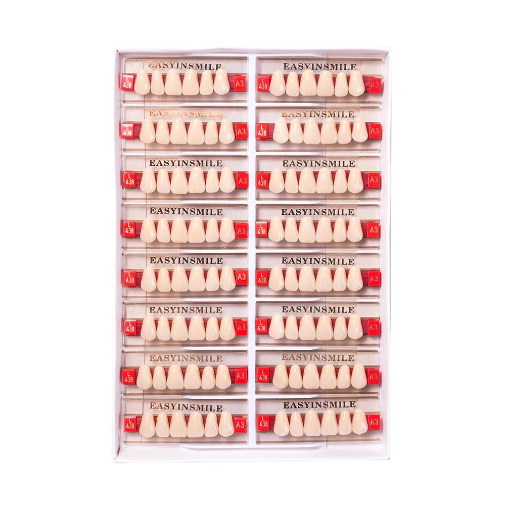 16/12 Sätze/Karton Zahnprothese Zähne Oberkiefer Frontzähne Unterkiefer Seitenzähne Dentier Synthetisches Polymerzähne Zahnmedizinische Ausbildungsmodell