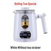 Shangqi Small Steam Tea Maker with Insulated Glass Pot