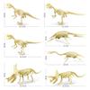 Fossil Dinosaur Skeleton Model With Plastic Material For Kids Educational Decor