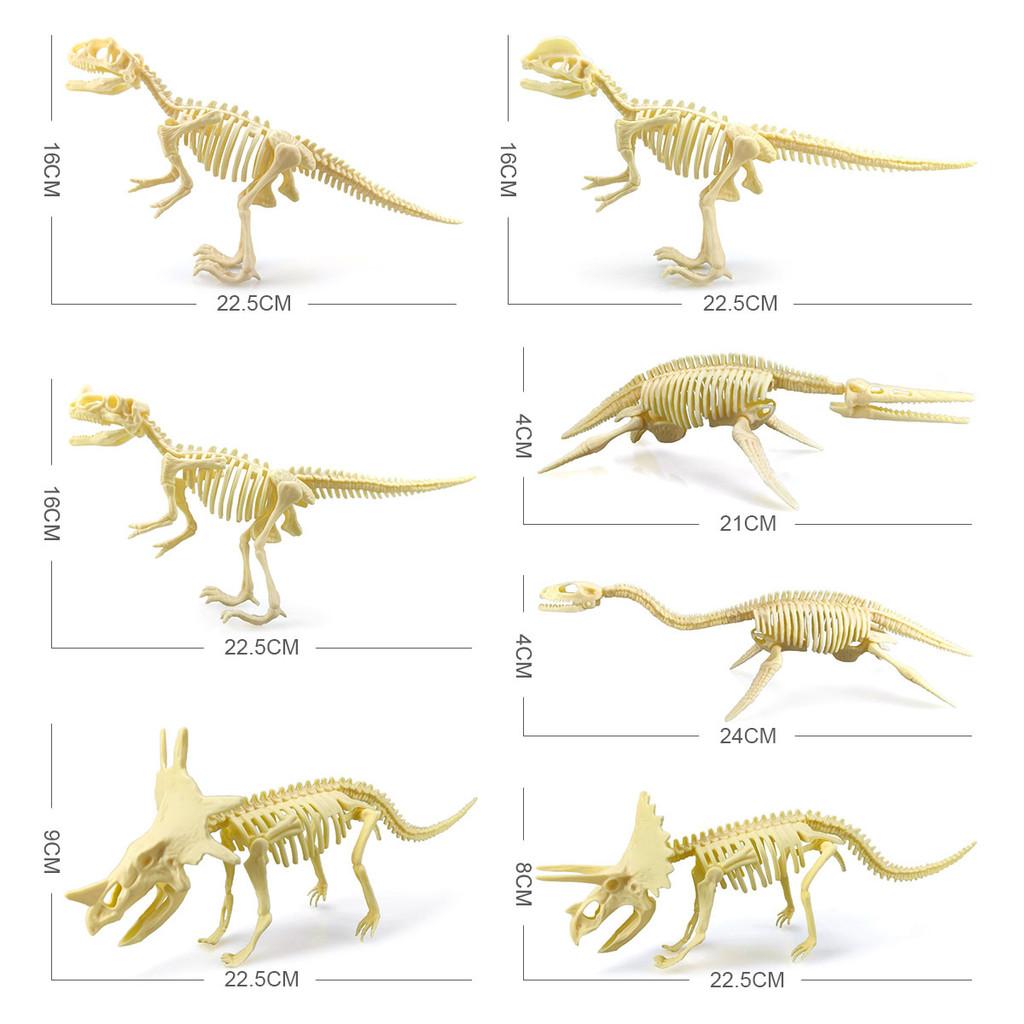 Fossil Dinosaur Skeleton Model With Plastic Material For Kids Educational Decor