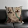 1Pc Anime Dr. Stone Pillow Case Fashion Square Pillowcase Bedroom Sofa Room Ins Decoration Leisure