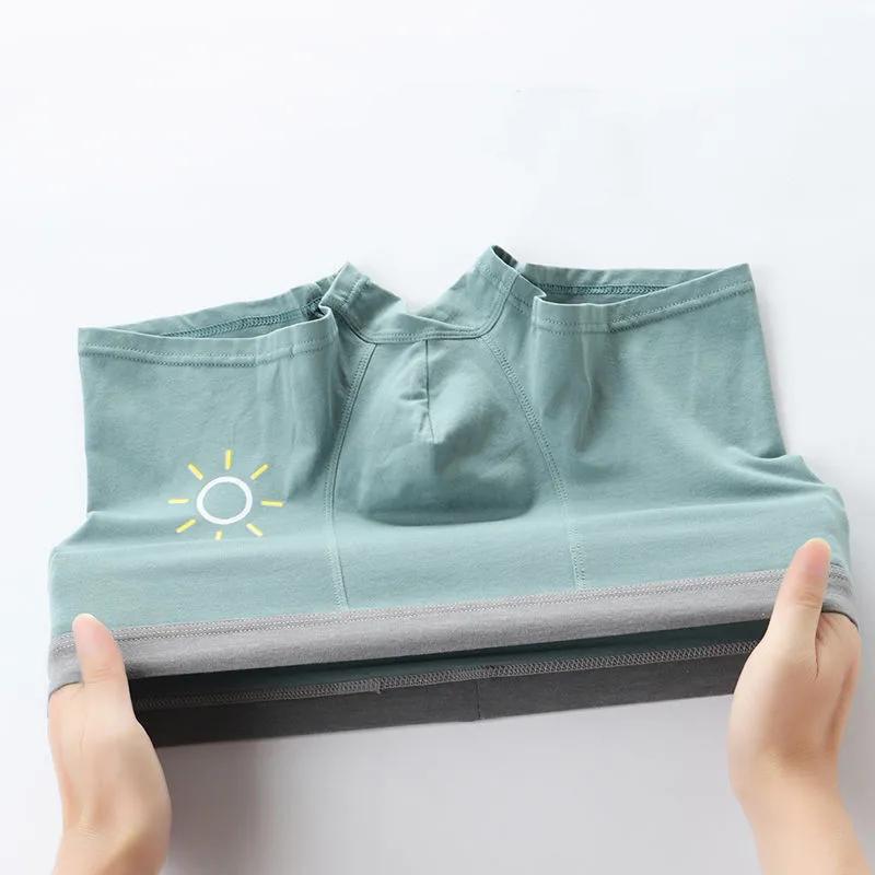 Teenage Underwear Male Development Period Students Cotton Junior High School Students 13-16 Years Old Big Boy Boxer Pants
