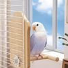 Interaction Mirror Perch Standing For Parrots Natural Wood Bird Rest Place for Pet Bird Entertainment Cage Accessories