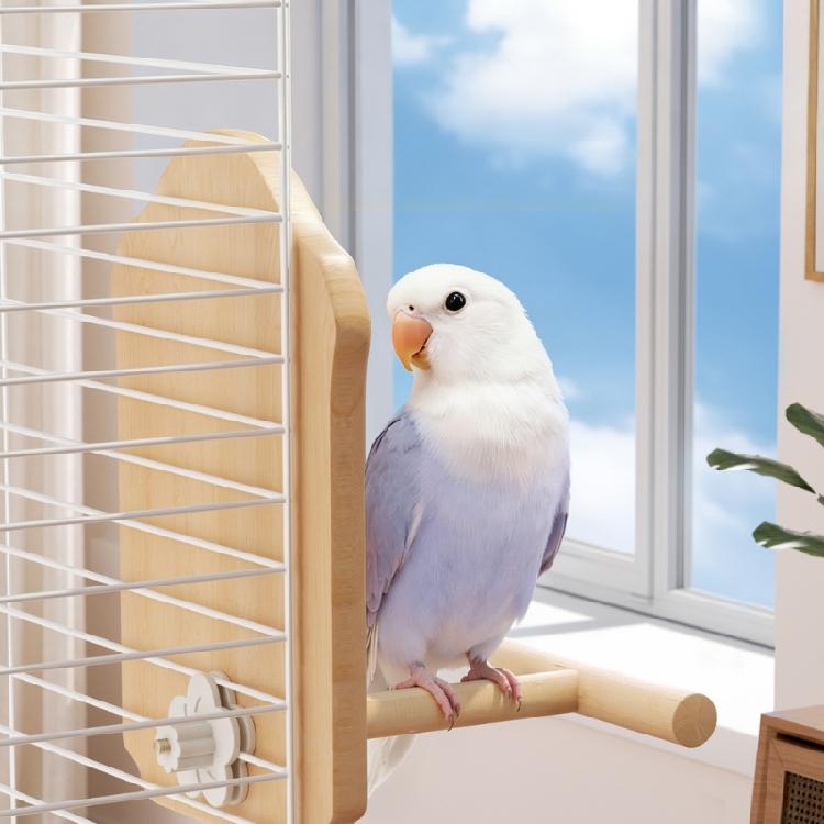 Interaction Mirror Perch Standing For Parrots Natural Wood Bird Rest Place for Pet Bird Entertainment Cage Accessories