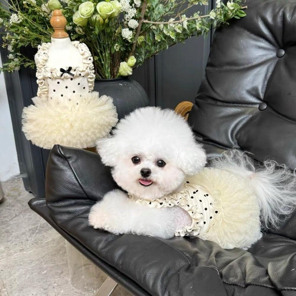 Breathable Pet Princess Dress Soft Dog Puffy Dress New Corgi Teddy Clothes for Small Dog Cat