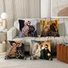 Textile pentru bucătărie și sufragerie – Huse pentru perne