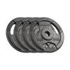 Cast Iron Weight Plate Set 4x2.5kg 10kg Hole 31mm Plate with Handles Rebel