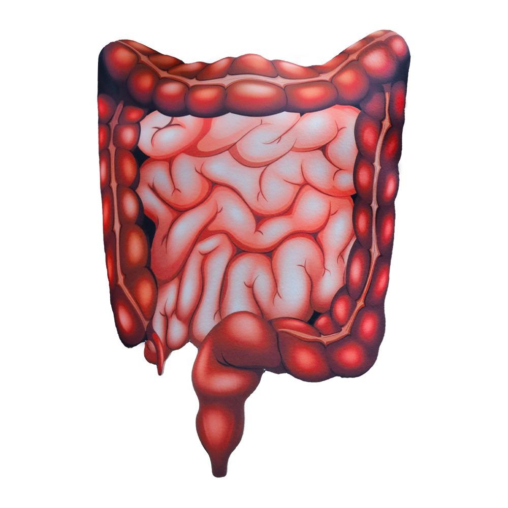 Realistic Heart Design Cosplay Costume Creativity Printed Jumpsuit Halloween Kids Costume  Party