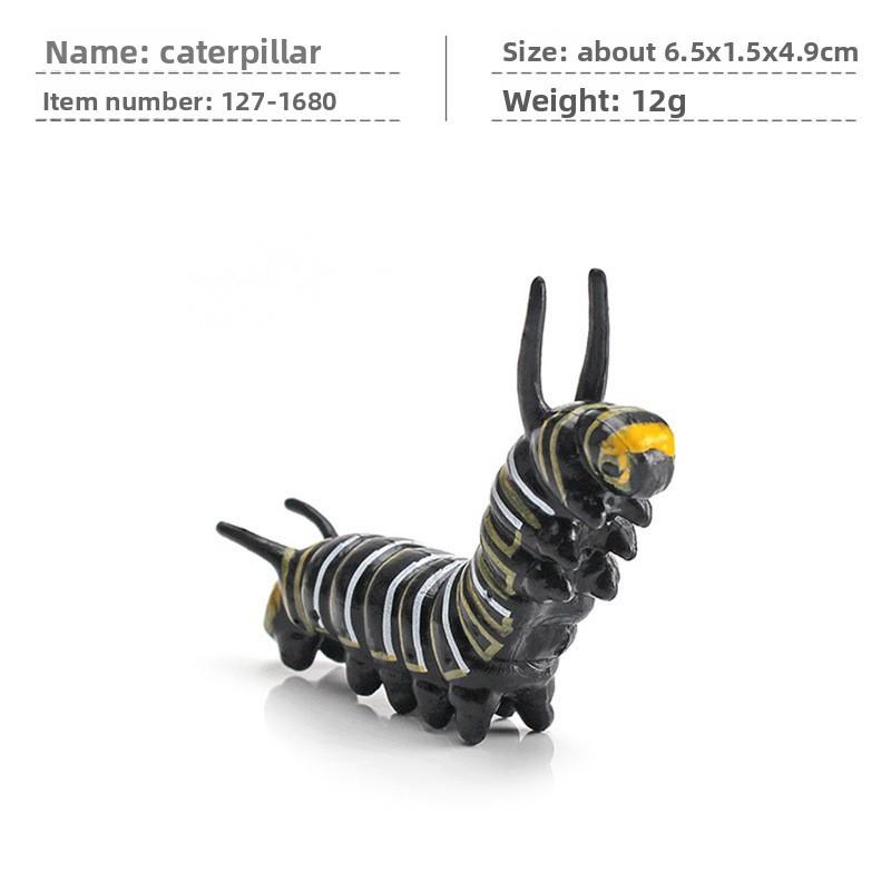 Jungle Rainforest Insect Butterfly Poison Spider Pvc Model Set With Realistic Wildlife Display For Nature Enthusiasts