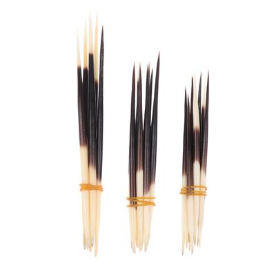 Púas de Puercoespín Palillo para el Cabello Artesanías Indias Accesorios Boya de Pesca Diy Joyería de Hueso Natural Accesorios para Horquilla