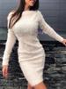 Fur Sexy Bodycon Long Sleeve Dress for Women - Fall/Winter