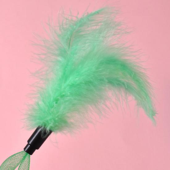 2Pcs Feather Cat Toys with Bells Interactive Spring Teaser Wand for Kittens Cats Interactive Cat Hunting Instinct Play Toy Colorful Pet Supplies