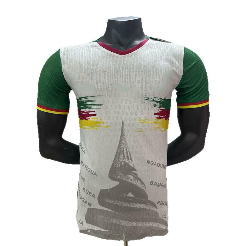 2026 Cameroon Second Away Short Sleeve Player Jersey XXL