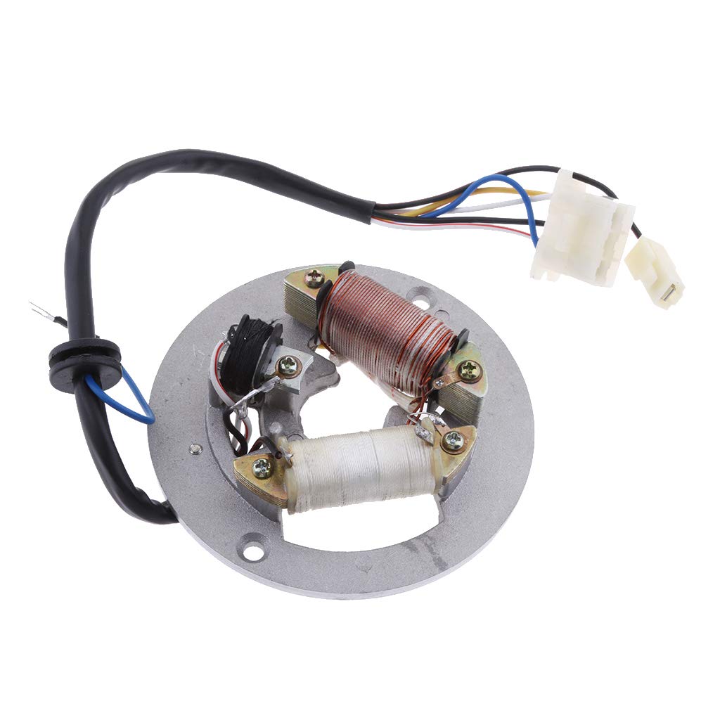 Magnetic Stator Ignition Generator 2 Pole Coil Stator Coil for Yamaha Scooter ATV Motorcycle
