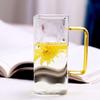 Zhenqi High Borosilicate Glass Water Cup