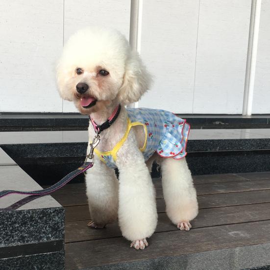 Pet Dress Cherry Pattern Plaid Printing Fruit Surface Summer Dog Two-legged Clothes for Pet Skin
