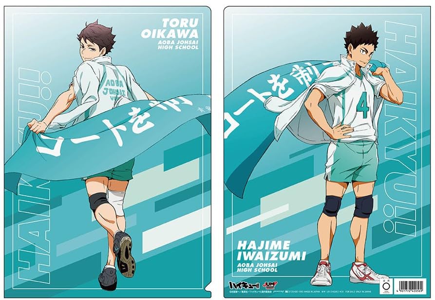 Haikyuu Clear File Oikawa Iwaizumi Aoba Johsai Limited Goods