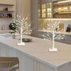 White Birch Tree with LED Lights, Lighted Birch Tree for Tabletop, USB/Battery Operated 24 LED Warm White Tree, 2FT Mini Christmas Tree Decor for