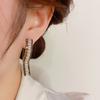 Niche Design Flash Diamond Earrings Light Luxury Earrings, Silver Needle New Design Earrings Temperament Earrings