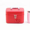 Large Capacity 2024 Summer Women's Cute Korean Makeup Bag - Multifunctional Storage Case