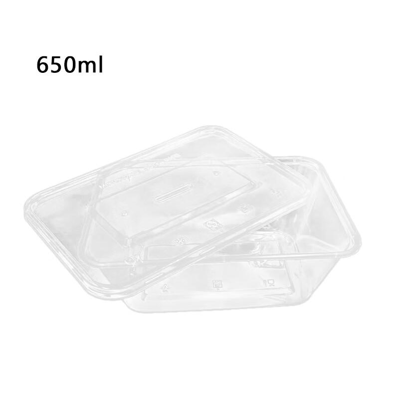 Disposable Rectangular Plastic Lunch Boxes with Lids