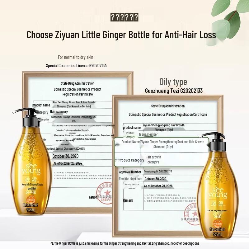 seeyoung Ginger Anti-Hair Loss Shampoo Set (Oily Scalp)