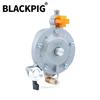 GT241 154F Engine LPG Dual Fuel Carburetor Reducer Assy Gasolina Petrol Generator Parts