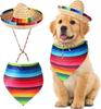 Mexican Dog Hat & Striped Scarf Set - Straw Hat & Bandana Combo