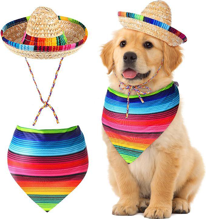 Mexican Dog Hat & Striped Scarf Set - Straw Hat & Bandana Combo