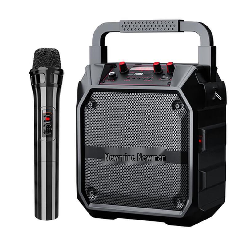 Newmine Portable Bluetooth Karaoke Speaker