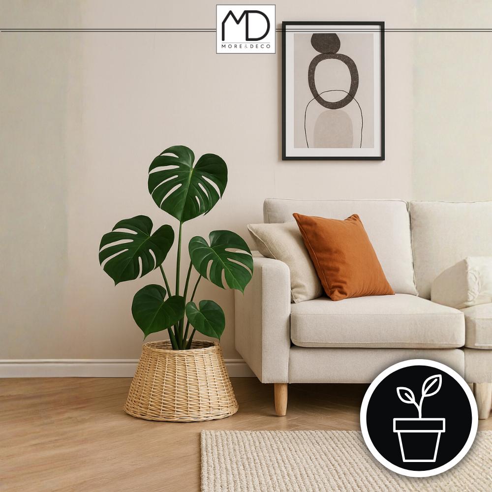 Osłona Na Doniczkę Wiklinowa Pod Choinkę Na Święta Stojak Wiklina Kosz Beż MORE&DECO