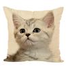 Cute Throw Pillow Case Cushion Fahion Bed  Cover