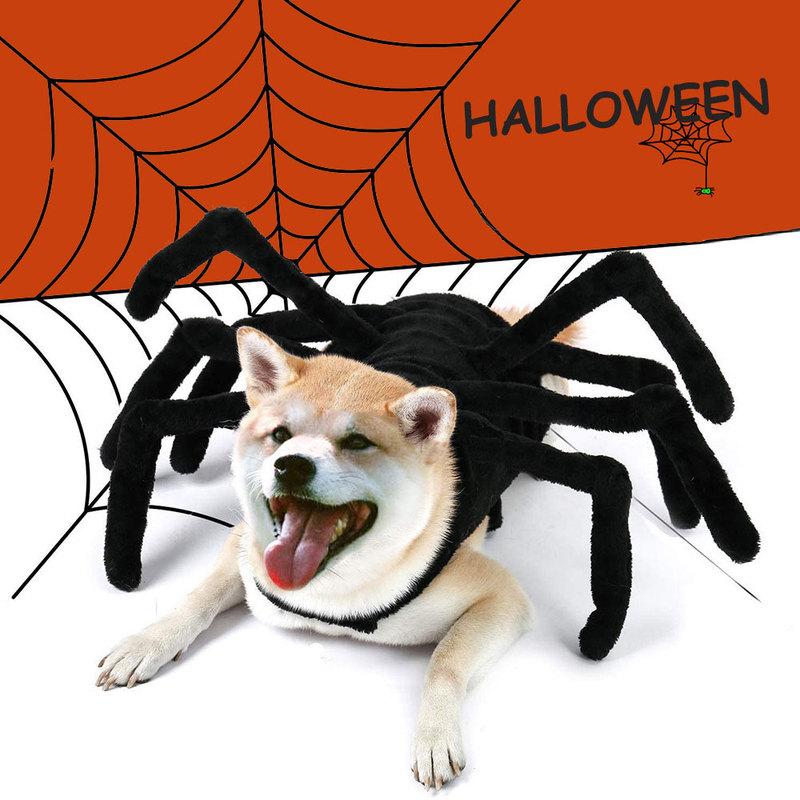 new arrival halloween black spider cosplay costume funny spider pet costume dress up for cat small medium large dogs pet