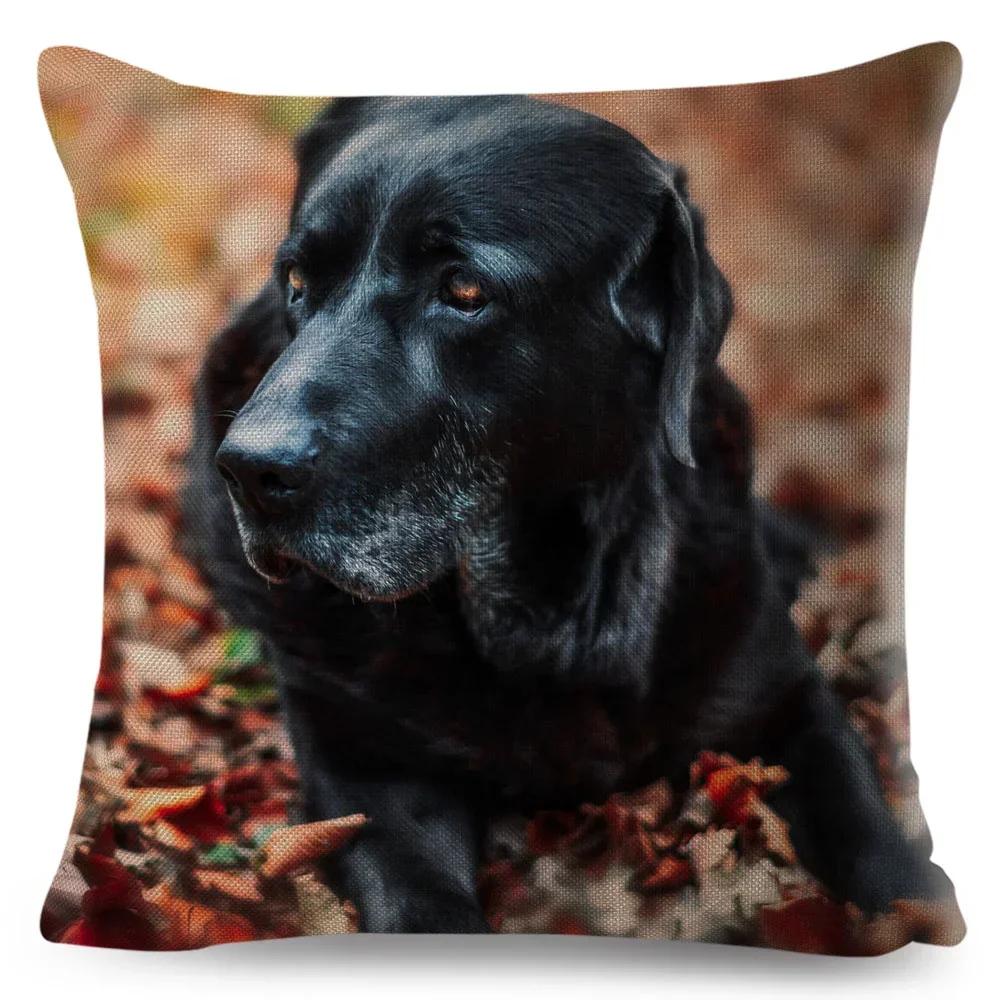 Cute Black Labrador Dog Double-Sided Printed Pillow Cover Short Plush Suitable Living Rooms Bedrooms Sofas Throw Cushion Cover