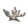 Nascondiglio per la Riproduzione dell'Acquario Ornamento Accessorio per il Paesaggio dell'Acquario Scultura Artigianato Statuetta Marina Statua Decorazione Nido Aquascaping