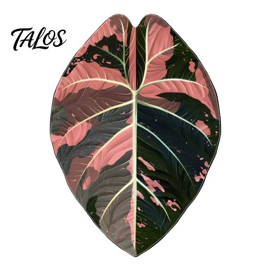 Botanical Fridge Magnets 3D Tropical Plants Refrigerator Magnet, Acrylic Green Decorative Plant Home Decor Memo Notes Photo Holder for Kitchen Office