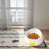 Slanted Mouth Ceramic Cat Bowl Anti Black Chin Creative Cat Bowl Anti-Tipping Bowl  Pet Feeding