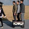 Wagon Outdoors Trolley Portable Garden Camping Cart Heavy Duty Large Capacity Fold Wagon Collapsible Folding Utility Beach Cart