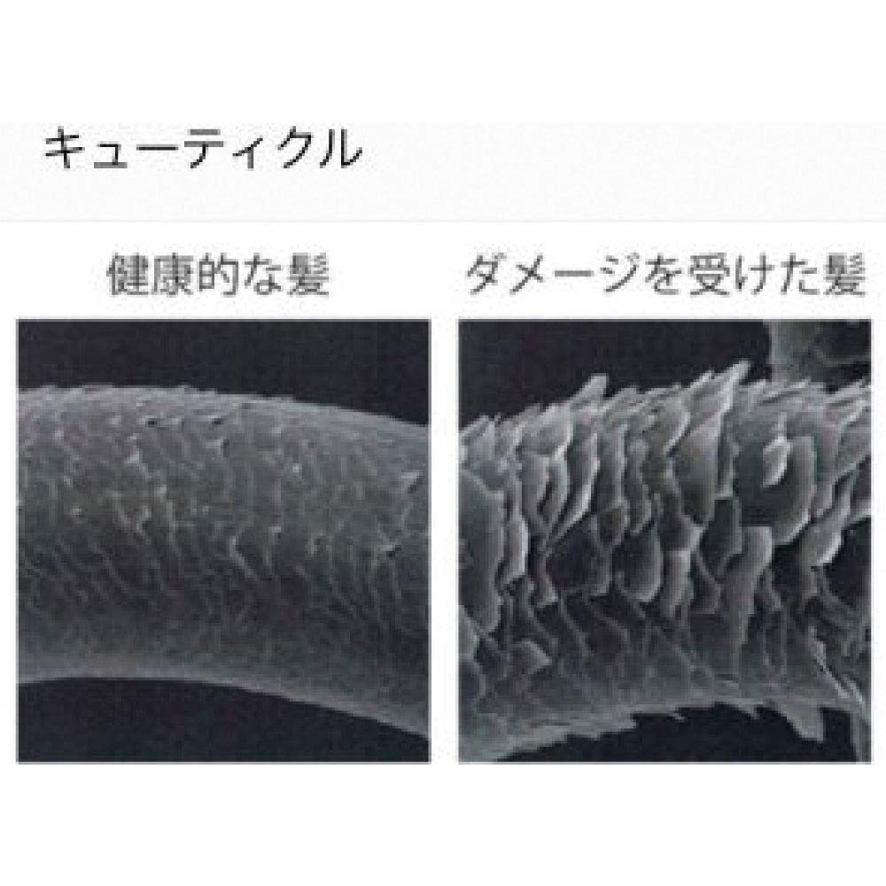 Salon 3D Premium Shower Vitamin Chlorine Removal Up To Water 360 Degree Head Angle Hand Pressure Increase Adapter Included Models TOTO INAX KAKUDAI