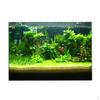 Aquarium Landscape Poster Background